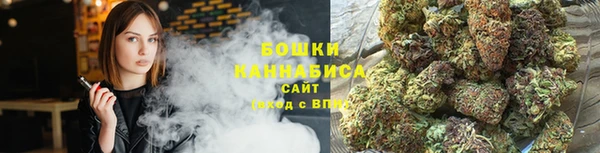 ешки Вязьма