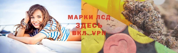 ешки Вязьма