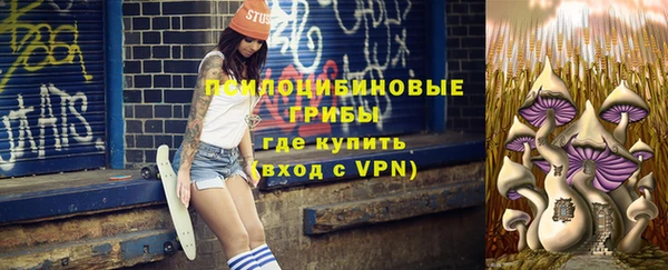 спиды Горно-Алтайск