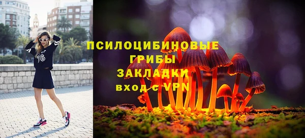 mix Вяземский